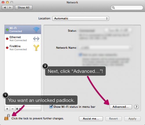 screenshot of the OS X Lion Network preferences pane